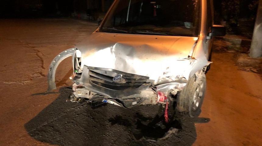 Ara&ccedil; s&uuml;r&uuml;ye daldı, 20 domuz telef oldu