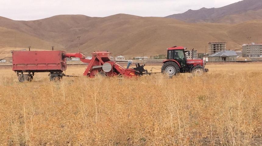 Y&uuml;ksekova'da aspir hasadına başlandı