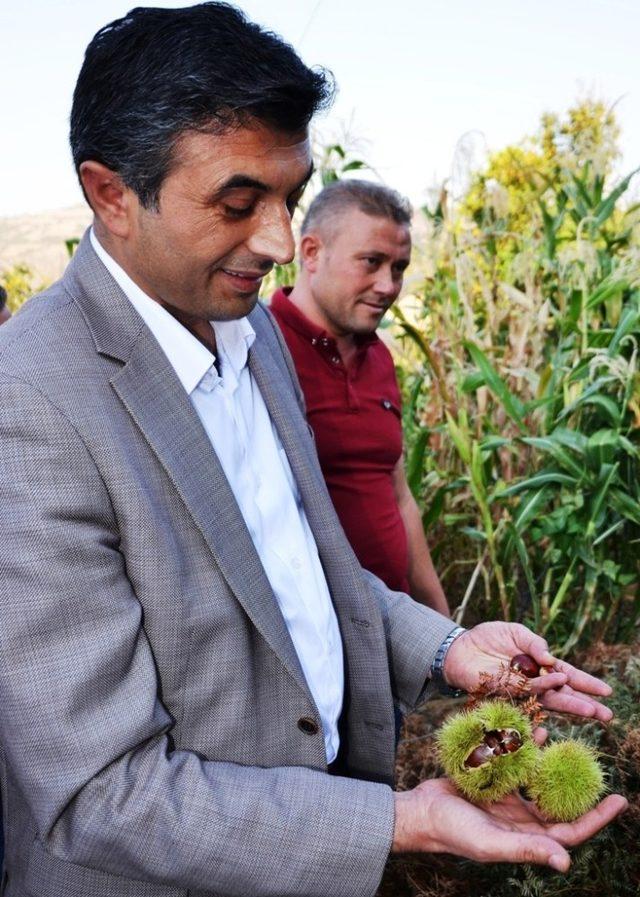 Başkan Selçuk Beyharmanı Mahallesinde vatandaşlarla buluştu