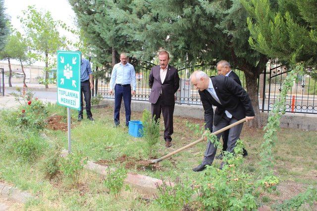 Ziyaret ettiği kuruma buket yerine çam fidanı götürdü