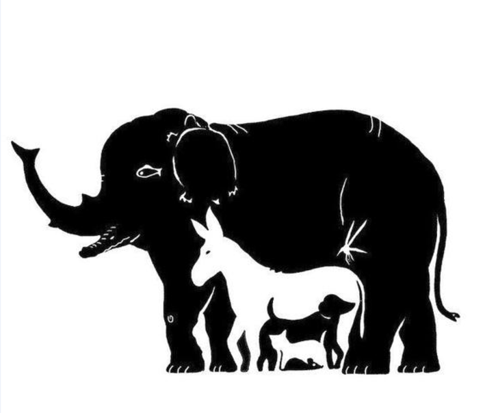 Bu test gizli özelliğinizi ortaya çıkarıyor G4