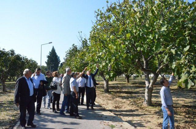 Yuntdağı Yunusemre ile kalkınıyor