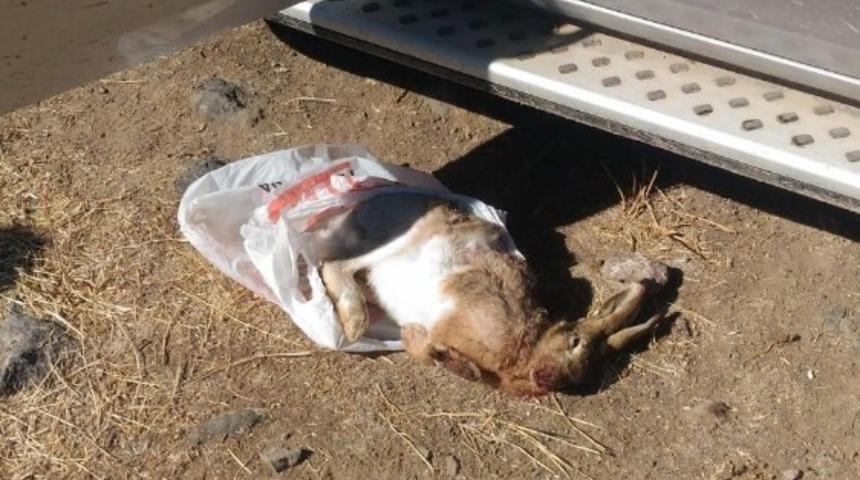 Jandarma Ka&ccedil;ak Av Yapanlara G&ouml;z A&ccedil;tırmıyor