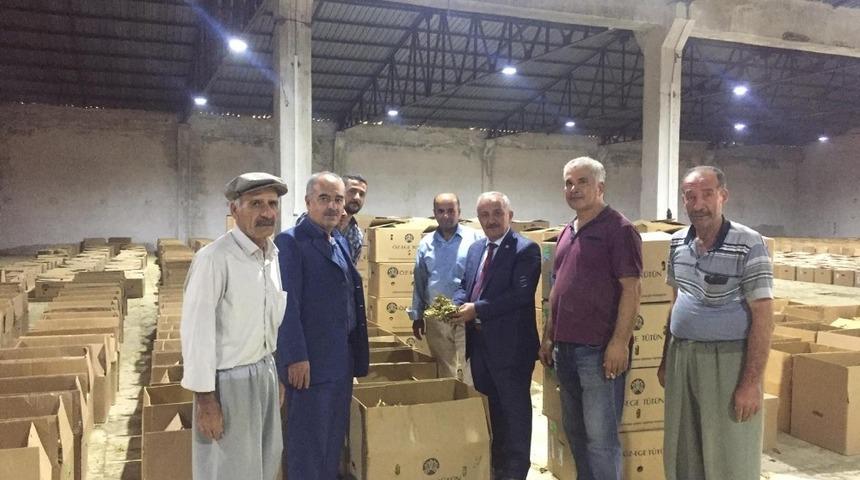 Ege menşeyi t&uuml;t&uuml;n alımları başladı