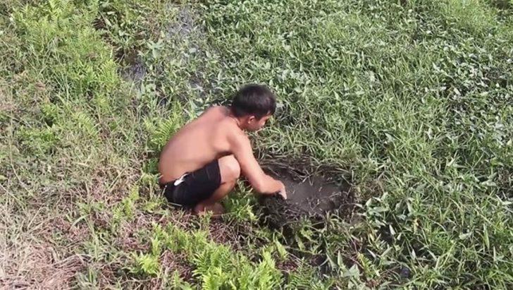 Ormanda bu sefer ne yaptı  G1