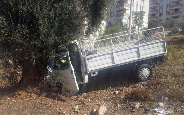 Milas’ta kontrolden çıkan araç zeytinlik araziye uçtu