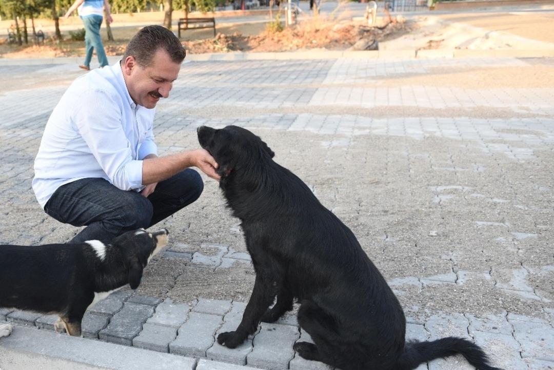 Sokak hayvanları i&ccedil;in 19 bin 520 kilo mama