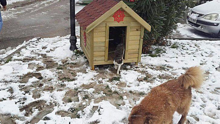 Sokak hayvanları için 19 bin 520 kilo mama G3