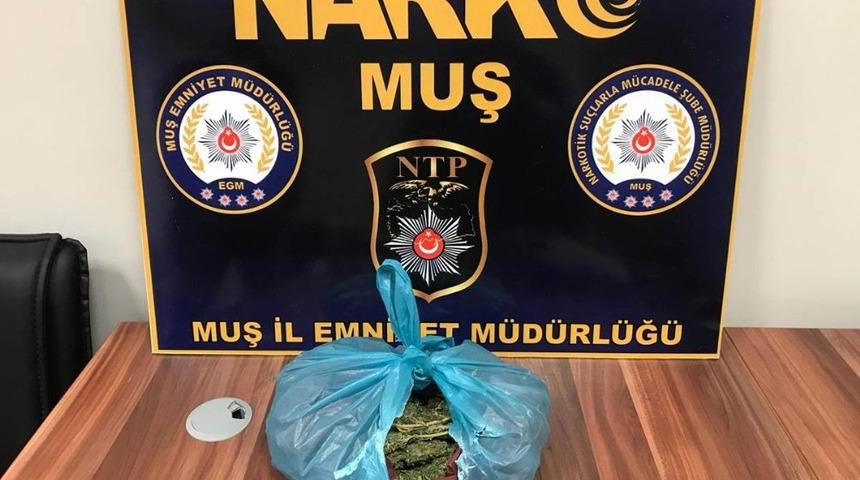 Muş&rsquo;ta uyuşturucu operasyonu: 2 tutuklama