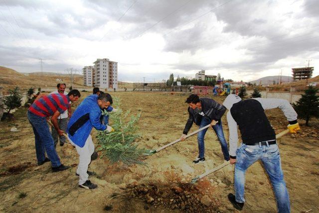 Çocuk parkları ağaçlandırılıyor