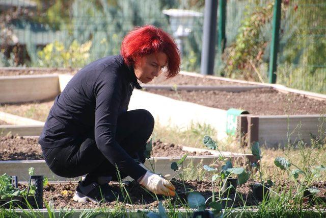 Bostanda ücretsiz eğitimler devam ediyor