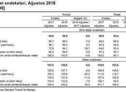 Dış ticaret haddi Ağustos ayında 101.8’e geriledi