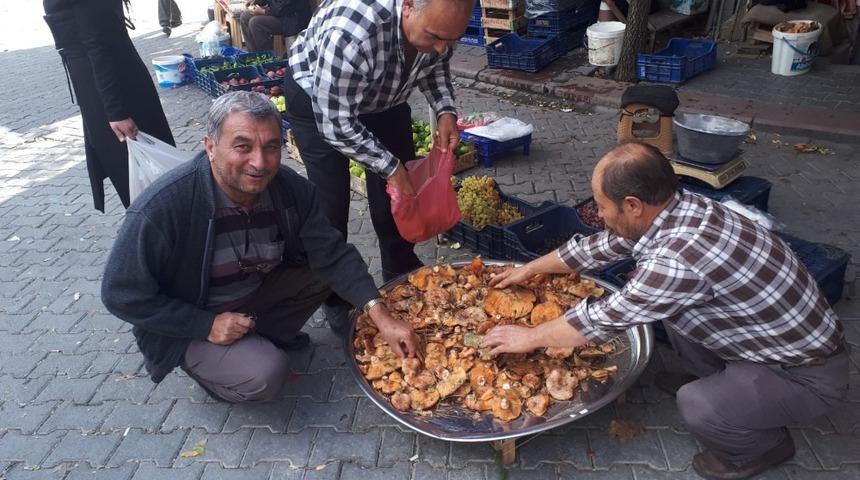 Melki mantarı tezgahlarda