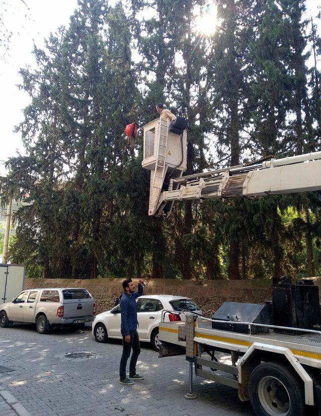 Telefon hattı kablosunda asılı kalan mont, vinçle indirildi