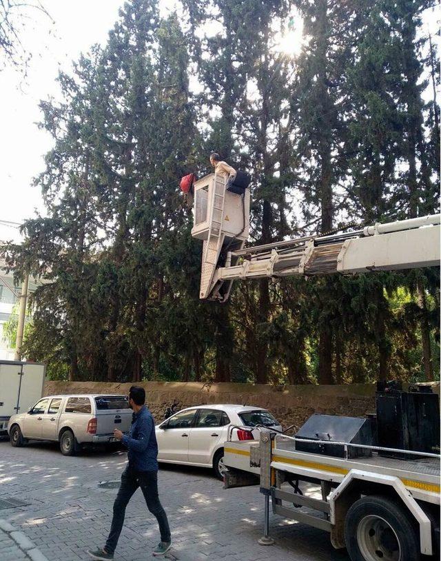 Telefon hattı kablosunda asılı kalan mont, vinçle indirildi