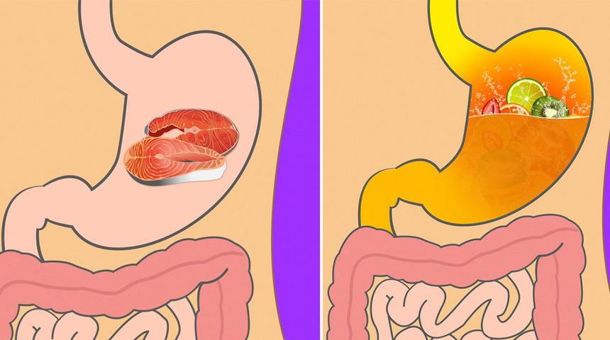Kilo vermek isteyenler mutlaka öğrenmeli: Besinler midede ne kadar sürede sindiriliyor?