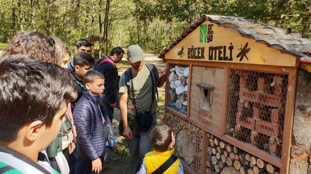 Kuş gözlemcileri Ormanya’da buluştu