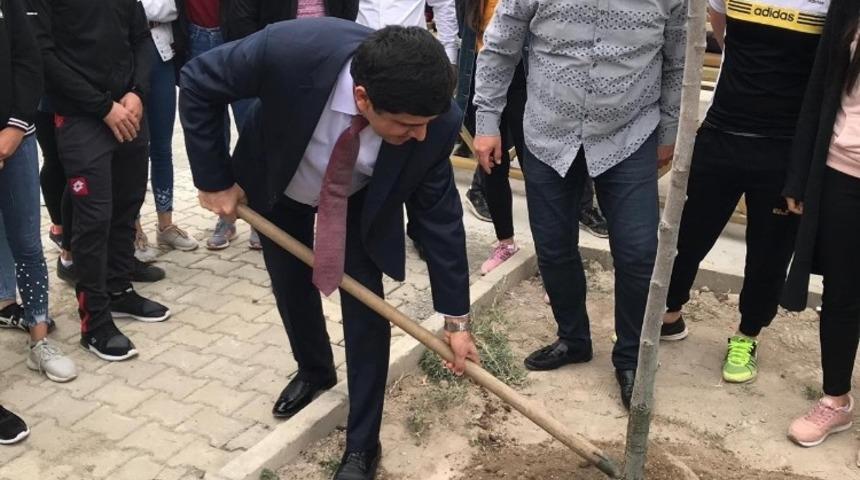 Rekt&ouml;r Alma, BESYO &ouml;ğrencileri ile birlikte ağa&ccedil; dikti