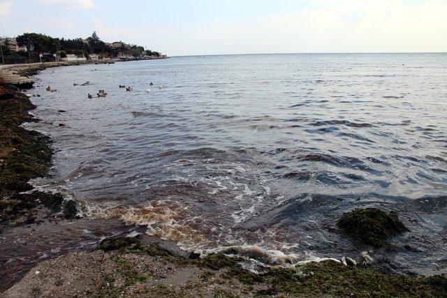 Tekirdağ'da 'kızıl' akmaya başlayan dereye inceleme