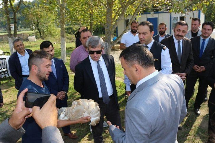 Vali Çınar, Çaycuma’da tarım ve hayvancılık tesislerini inceledi G1