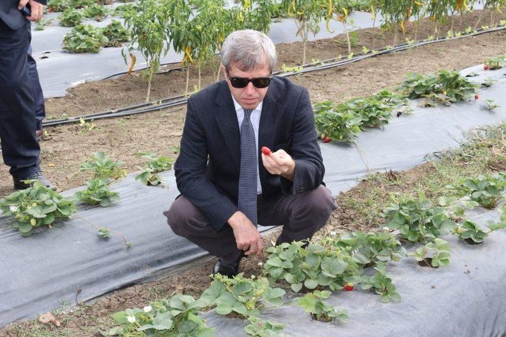 Vali Çınar, Çaycuma’da tarım ve hayvancılık tesislerini inceledi G3