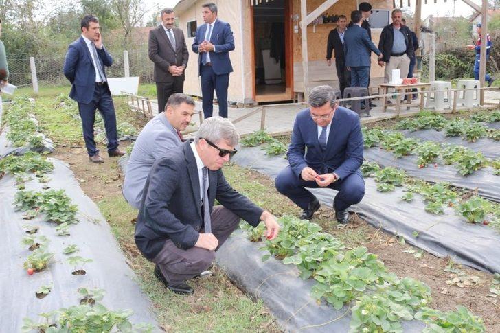 Vali Çınar, Çaycuma’da tarım ve hayvancılık tesislerini inceledi G4