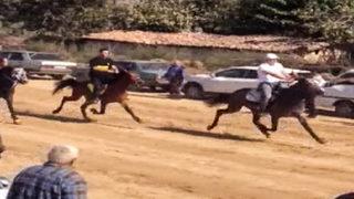 Atların ilginç çarpışması kamerada