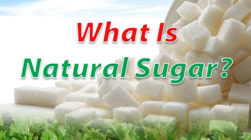 Kayseri Şeker’den NBŞ ile ilgili İngilizce broşür