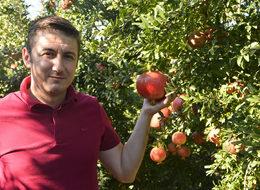 Nar fiyatı, bu yıl üreticinin yüzünü güldürdü