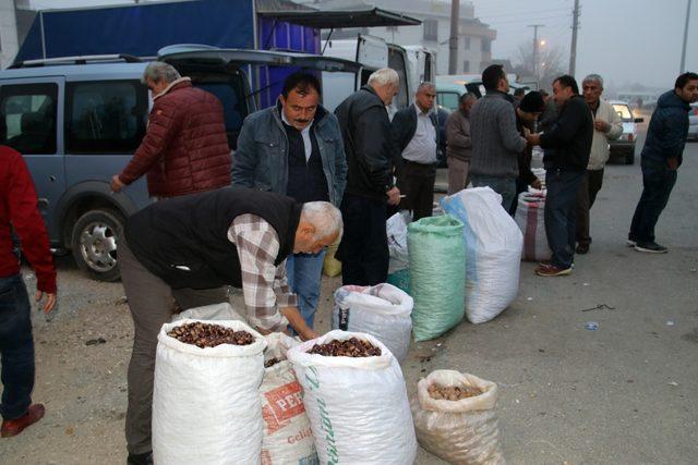 Düzce kuzusu satın almak için kente akın ediyorlar 2
