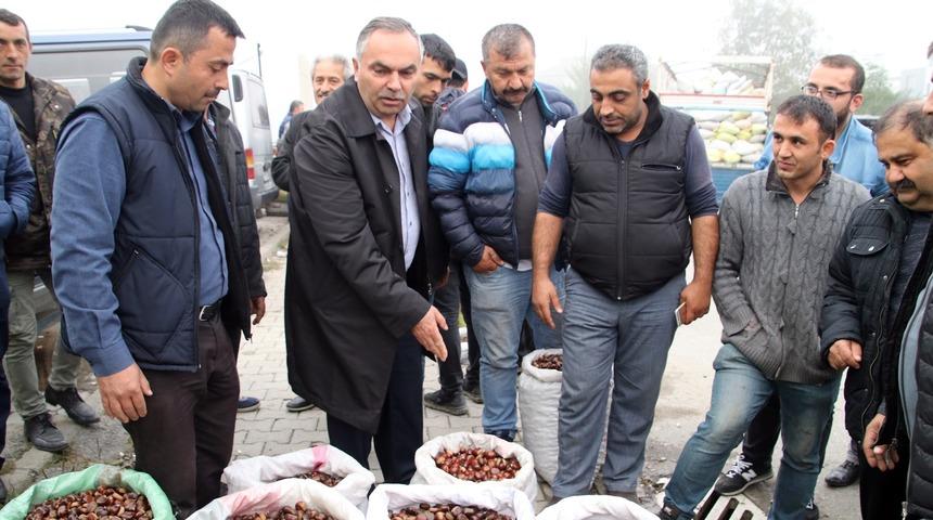 Bu kestaneyi almak için Türkiye'nin dört bir yanından geliyorlar