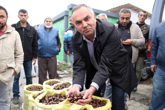  D&uuml;zce kuzusu  satın almak i&ccedil;in kente akın ediyorlar 4