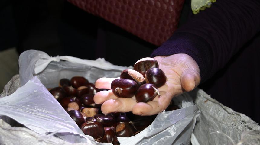 'D&uuml;zce kuzusu' satın almak i&ccedil;in kente akın ediyorlar