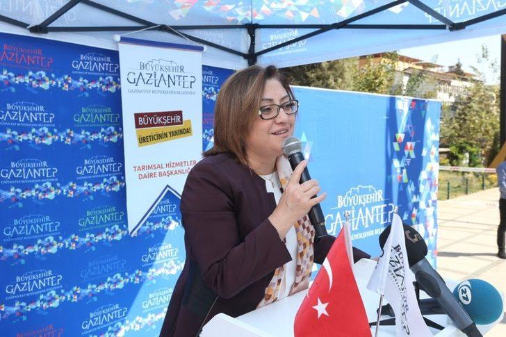 Fatma şahin’den çiftçilere tebrik G1
