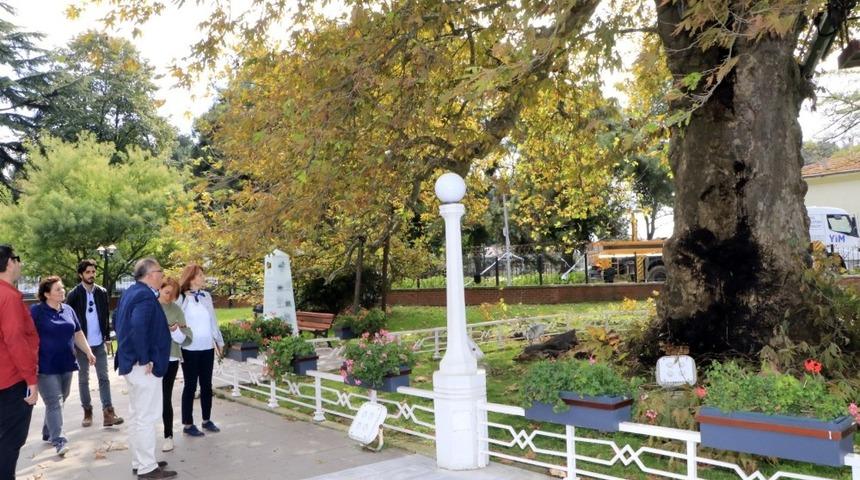 Atat&uuml;rk&rsquo;&uuml;n 400 yaşındaki &ccedil;ınar ağacı bakıma alındı