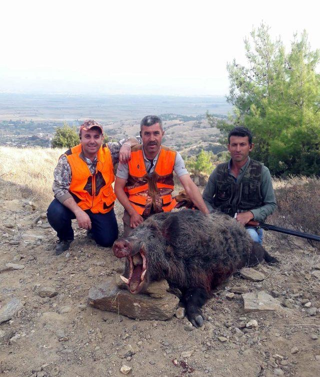 Tarlasına zarar veren 200 kiloluk domuzu vurdu