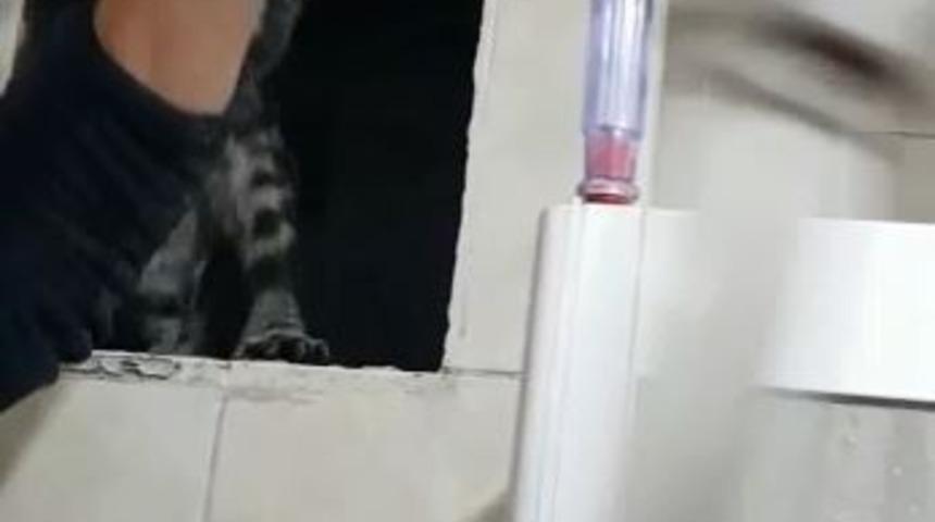 Aksaray itfaiyesinden kedi kurtarma operasyonu