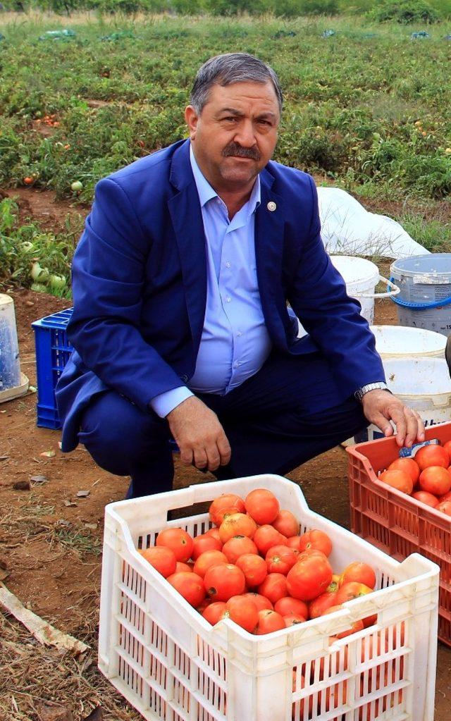 Baştuğ, “Çiftçilerimize zirai alet hibe desteği şart”