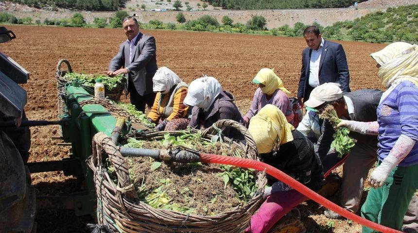 Baştuğ, &ldquo;&Ccedil;ift&ccedil;ilerimize zirai alet hibe desteği şart&rdquo;