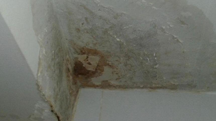 Apartmanda 'akan banyo' tartışması kanlı bitti: 2 ölü 1 yaralı