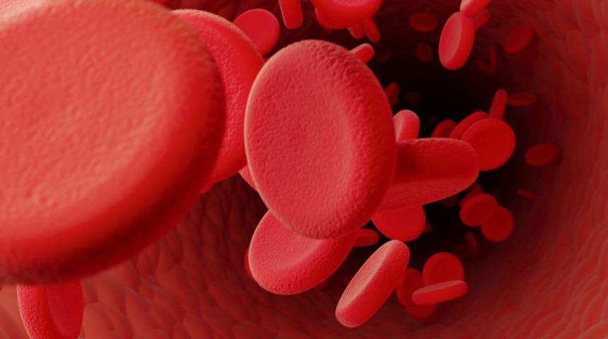 PLT nedir? PLT’nin yüksekliği ve düşüklüğü ne anlama gelir?