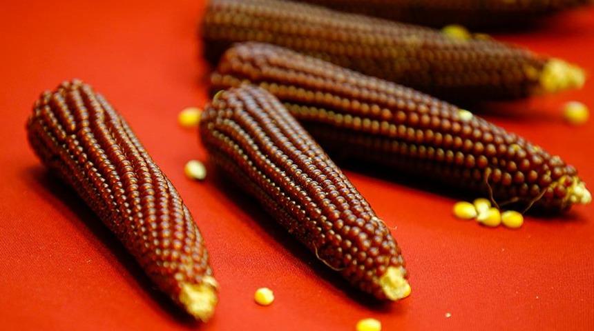 Daha ne isteriz ki: Proteini yüksek kalorisi düşük bir yiyecek 