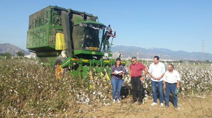 Aydın’da pamuk hasat kontrolleri devam ediyor