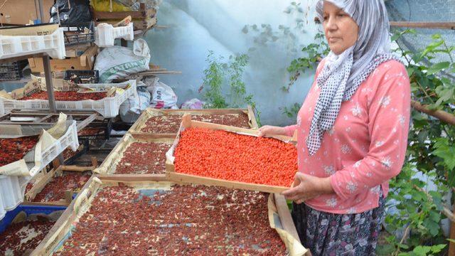 'Kurt üzümü' yetiştiren çift, siparişlere yetişemiyor