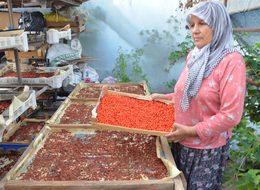 'Kurt üzümü' yetiştiren çift, siparişlere yetişemiyor