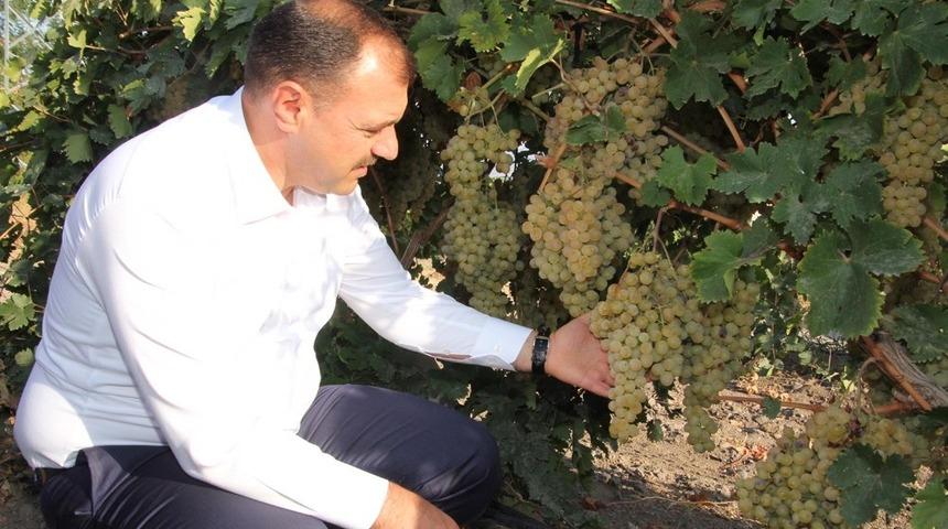 Vali Kaldırım;"Elazığ &uuml;z&uuml;mde &ouml;nemli bir &uuml;retim merkezi"