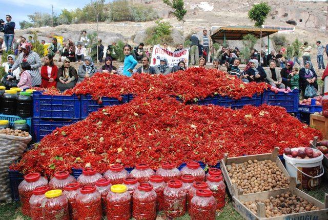 Melikgazi Ceviz ve Gilaboru Şenliği Başlıyor