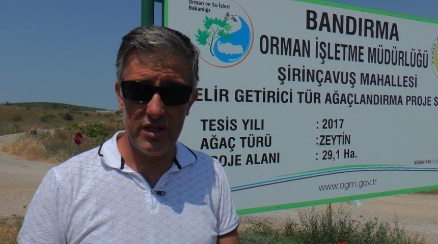 Ormana dikilecek ağa&ccedil;lar k&ouml;yl&uuml;ye kiralanarak şehre g&ouml;&ccedil; &ouml;nlenecek