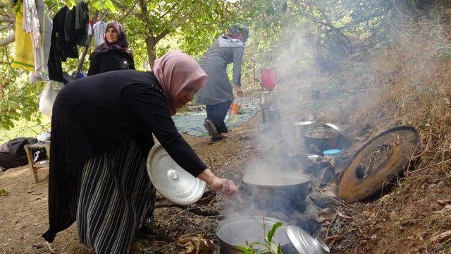 Yüzlerce kişi türbeye akın etti