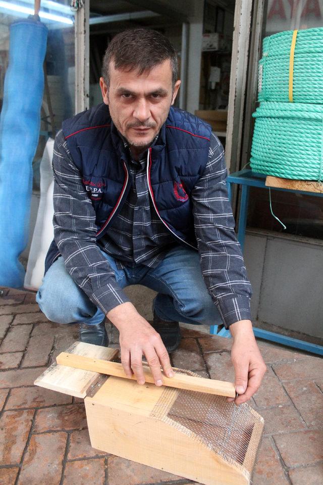 Fareler için ahşap kapan 3